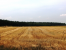 Działki pod zabudowę jednorodzinną w Mościszkach